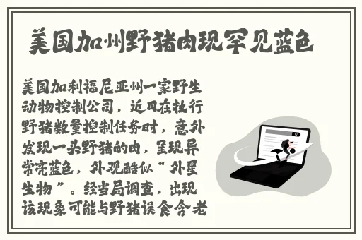美宝app软件官网怎么看安装