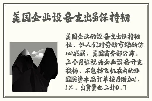 四虎网址