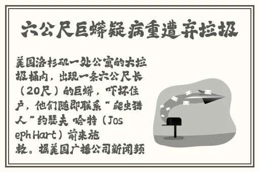 ysl千色t9t9t9观看范围
